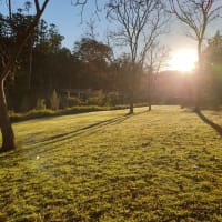 Photo by Rhonda Jenner Symes