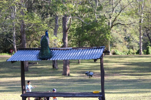 Photo by Krishantha E.