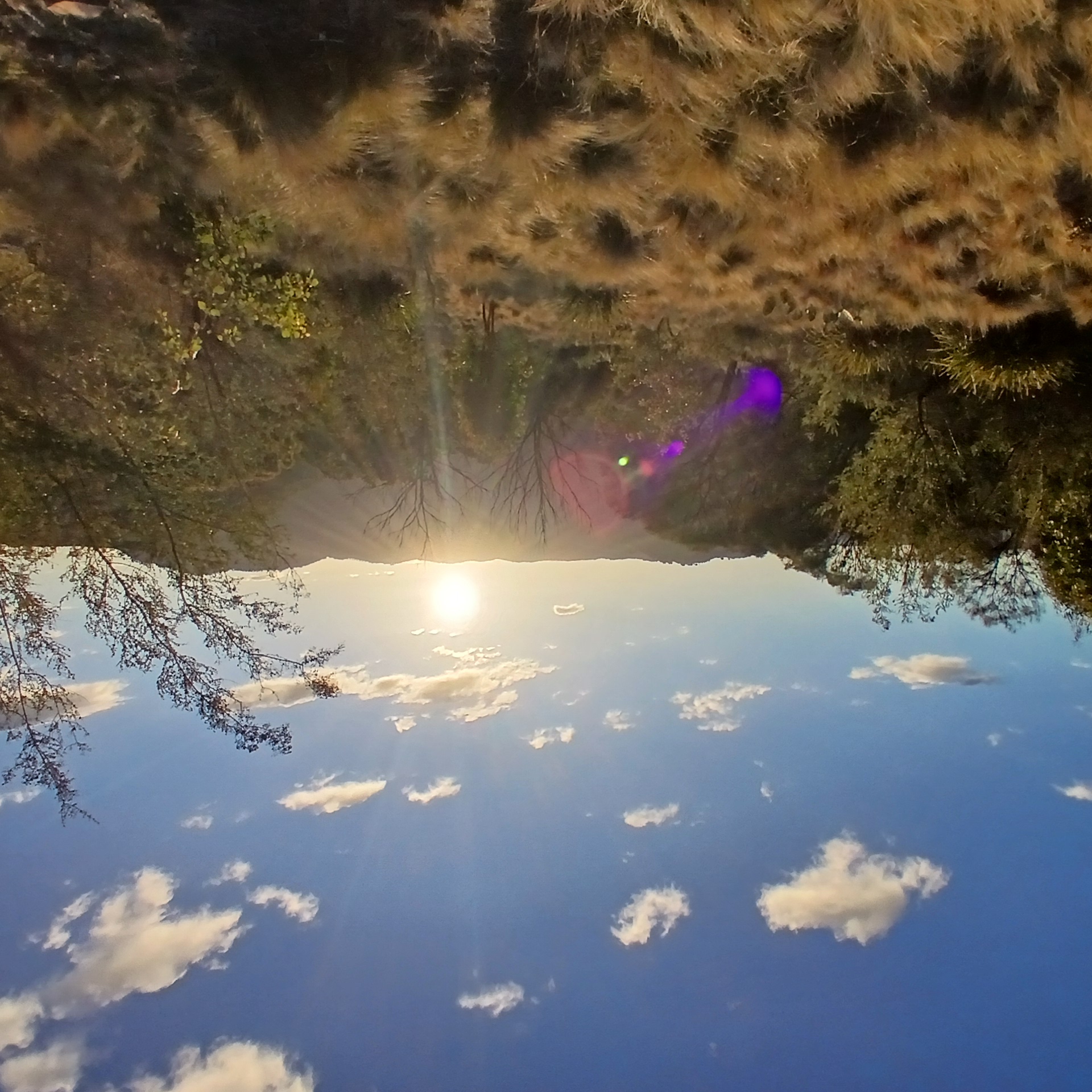 Top 1 camping areas with powered sites near Bullio - Anycamp