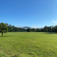 Photo by Louise Le Roux