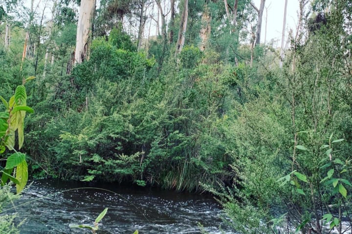 Photo by Brooklyn E.