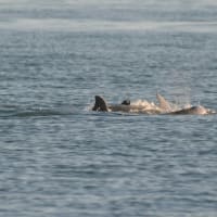 Photo by @ode2theroad