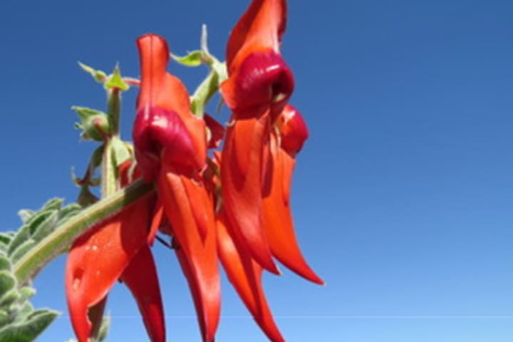 Photo by jennifer b.