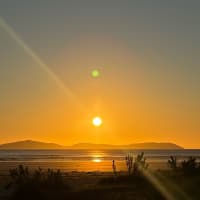 Photo by Lucy   Reekie