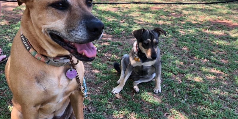 Photo by Marcia Christine Baker