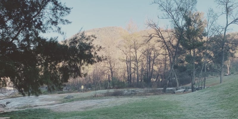 Photo by Benjahmin S.