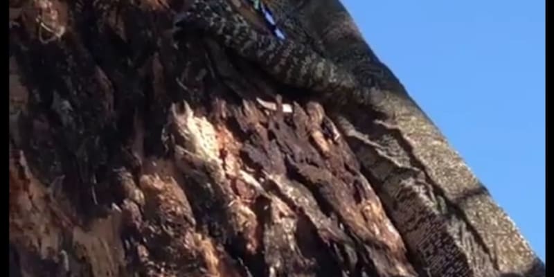 Photo by Kristine B.