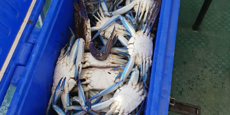 Photo by Yvette & Gavin Bright