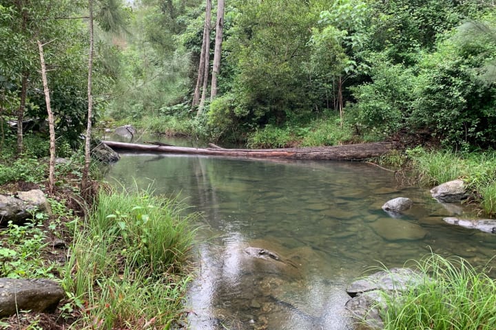 Photo by Off The Trax