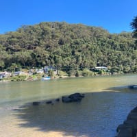 Photo by Tuan Rooster Nguyen