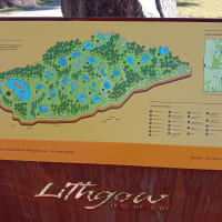 Photo by Christie M.