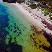 Photo by Four Hands in a Tin Can