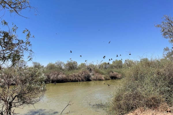 Photo by Happy Hour Hunters