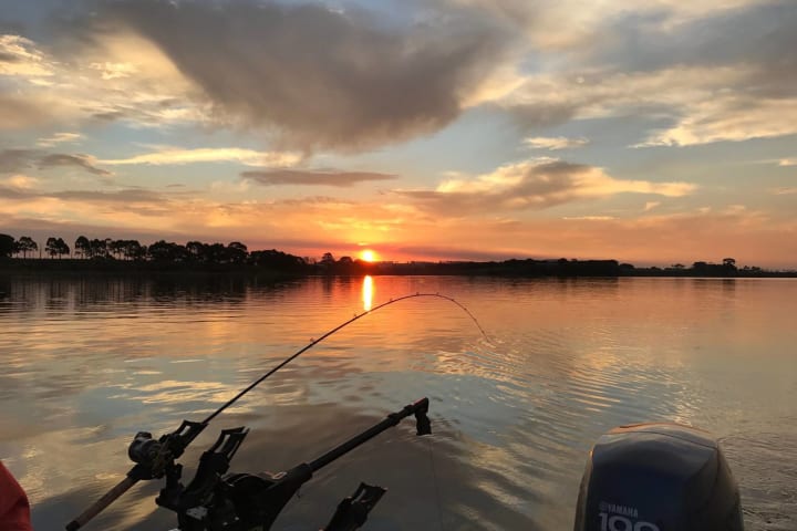 Photo by Eddy & Kathy Tiemens