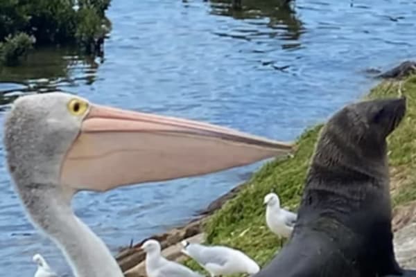 Photo by Dtravellers