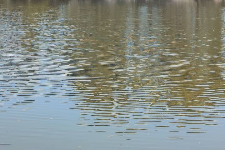 Photo by 