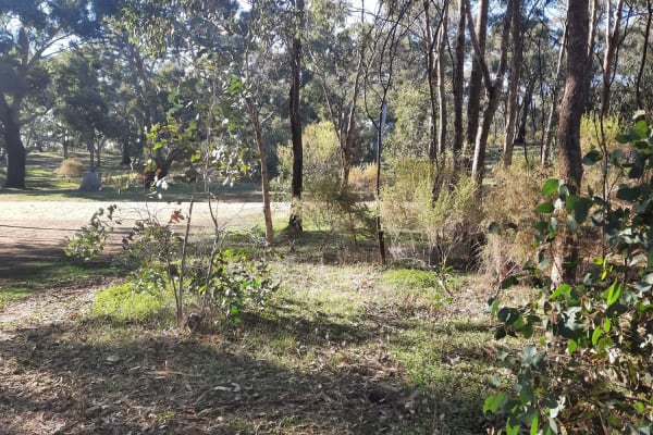 Photo by Lea-ann Mc Arthur