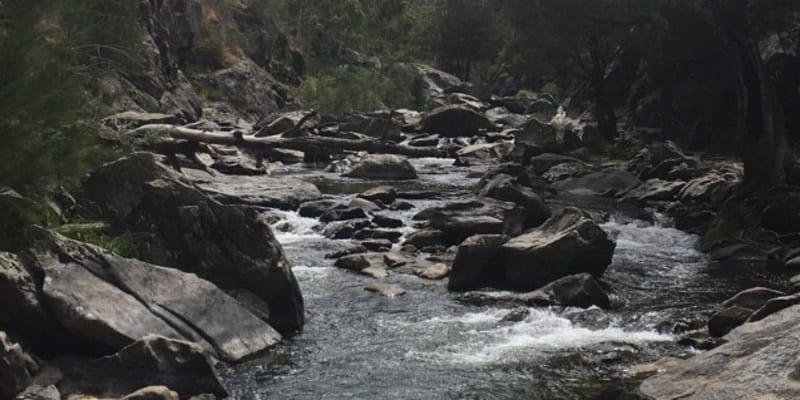 Photo of Flea Creek campground