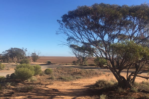 Photo by YoungAdventuresAust