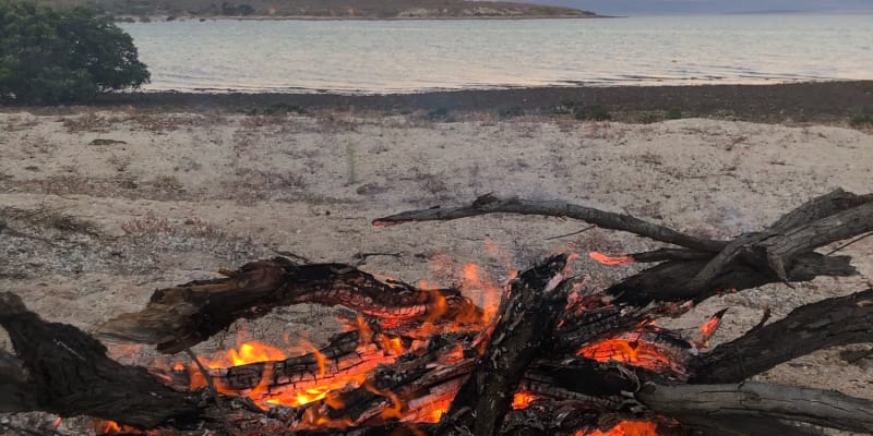 Photo by Philippa D.