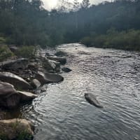 Photo by Dhanushka R.