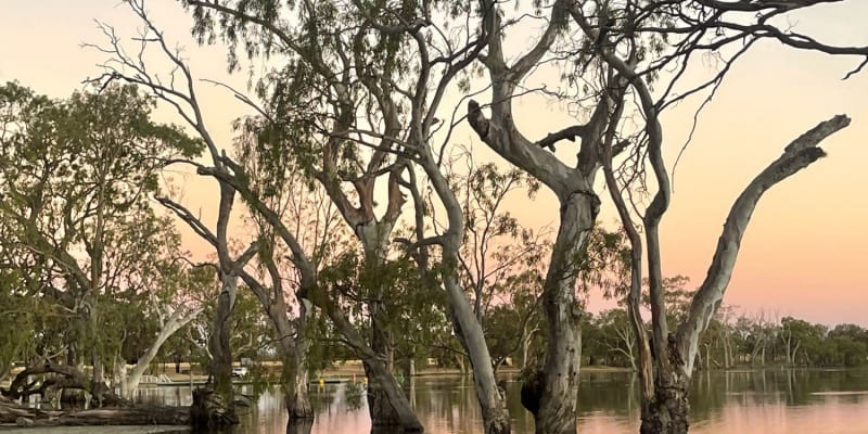 Photo by Caroline P.