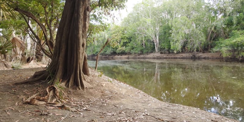 Photo of Kennedy Bend Campsite #3