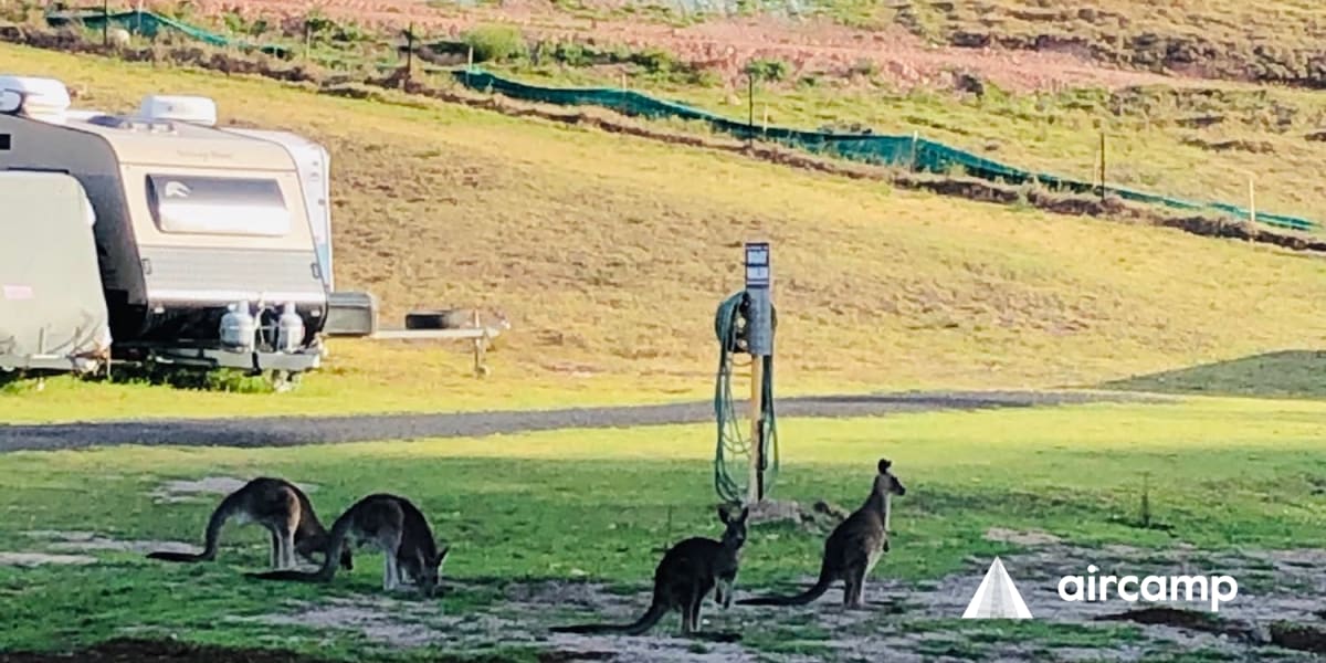 Sapphire Valley Caravan Park