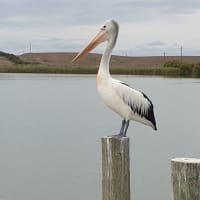 Photo by Ryse Marie Callaghan