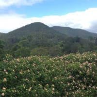 Photo by Madeleine K.