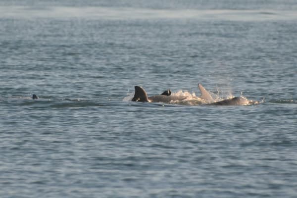 Photo by @ode2theroad