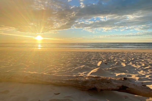 Photo by Celeste and Dan