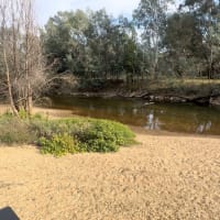 Photo by Isabella R.