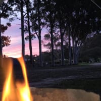 Photo by Colin van den Hoff