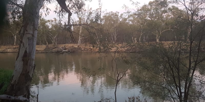 Photo by Joanne Abela McWhirter