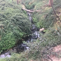 Photo by YoungAdventuresAust