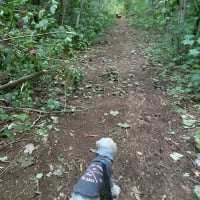 Photo by TravelTayls