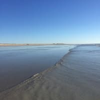 Photo by Kim & Shane