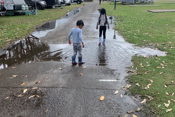 Photo by Krishantha E.