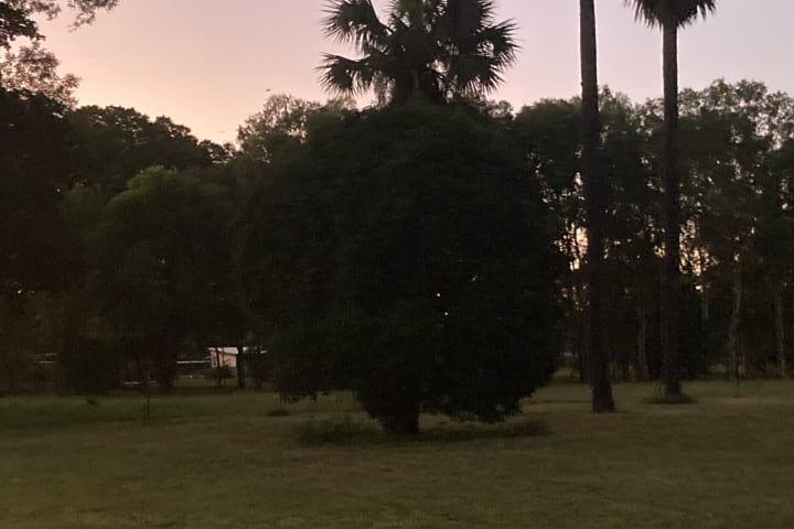 Photo by Lee-Anne F.