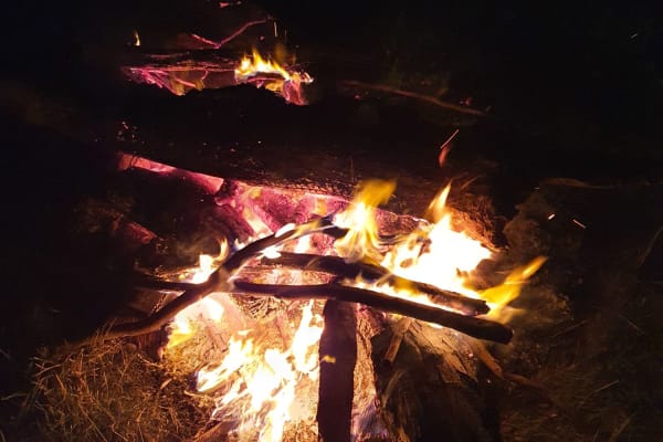 Photo by Tharinidu P.