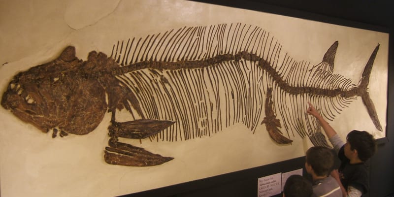 Photo by Leighton D.