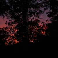 Photo by Lilah M.