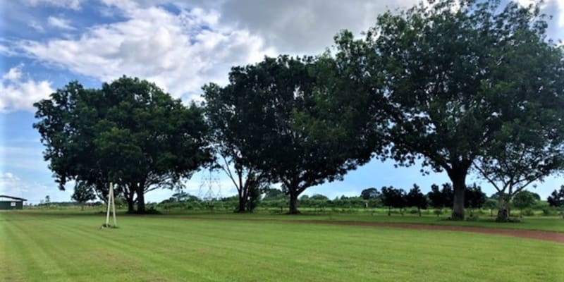Photo by Robbie Robbins Reserve