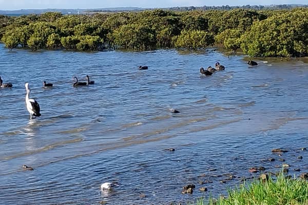 Photo by Colin van den Hoff