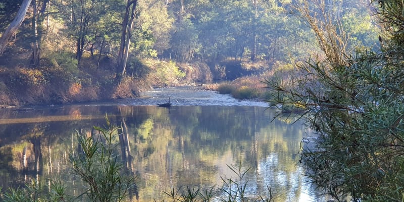 Photo of Running Creek Reserve