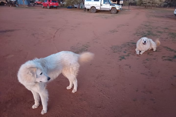 Photo by NightRanger D.