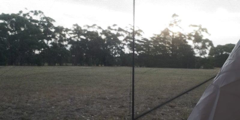 Photo by Kristine B.