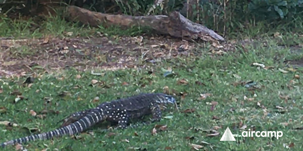 BIG4 Sawtell Beach Holiday Park