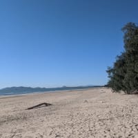 Photo by Corrinne A.